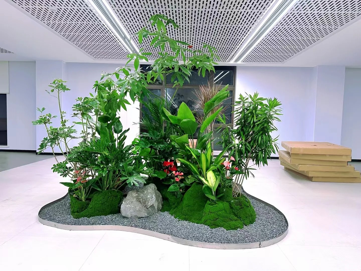 了解奉化植物出租方案，让绿植点亮生活！